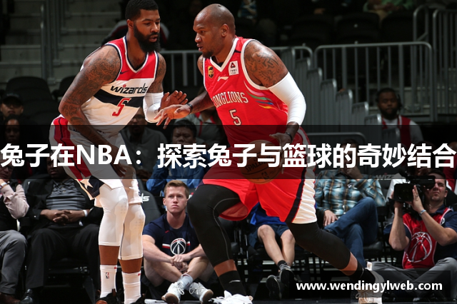 兔子在NBA：探索兔子与篮球的奇妙结合